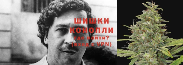 кокаин колумбия Алзамай