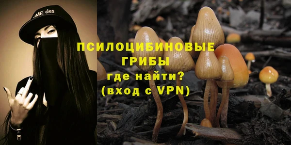соль курить ск Алексеевка