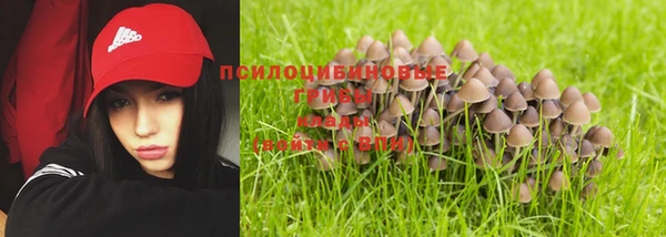 соль курить ск Алексеевка