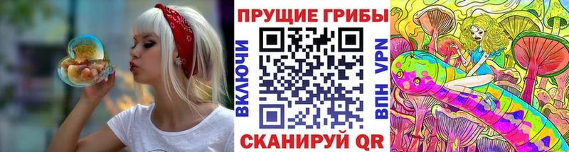 ссылка на мегу как войти  Ярцево  Псилоцибиновые грибы мицелий  даркнет сайт 